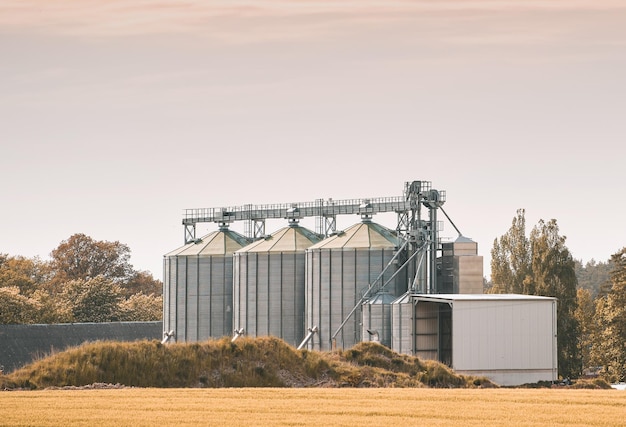 Cum să alegi structura potrivită pentru un siloz agricol Cum să alegi structura potrivită pentru un siloz agricol